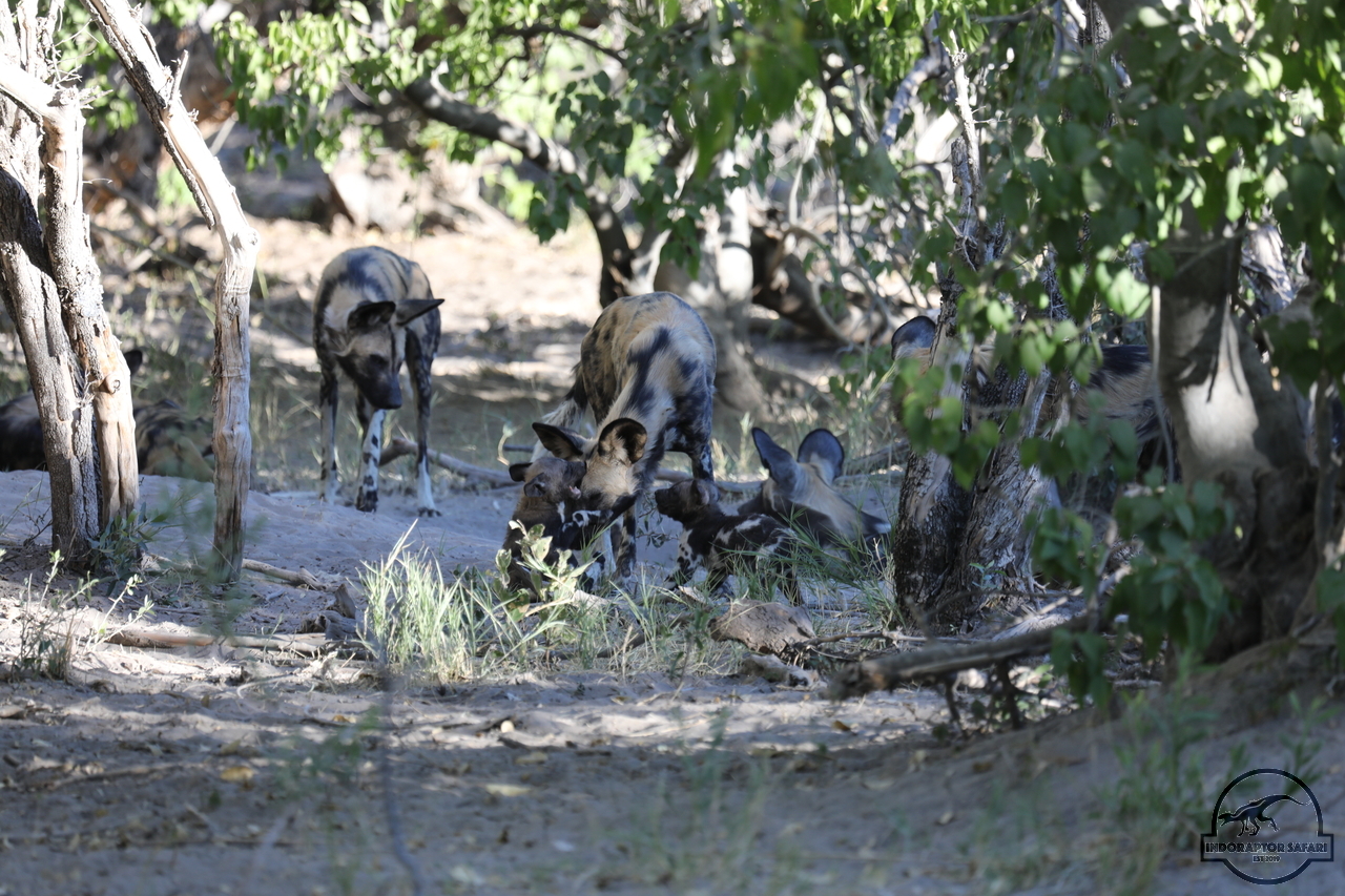 [1249] 2019_06_22_21_43_57_Africa_Canon_EOS_5D_Mark_IV_IMG_0003365_00009.jpg