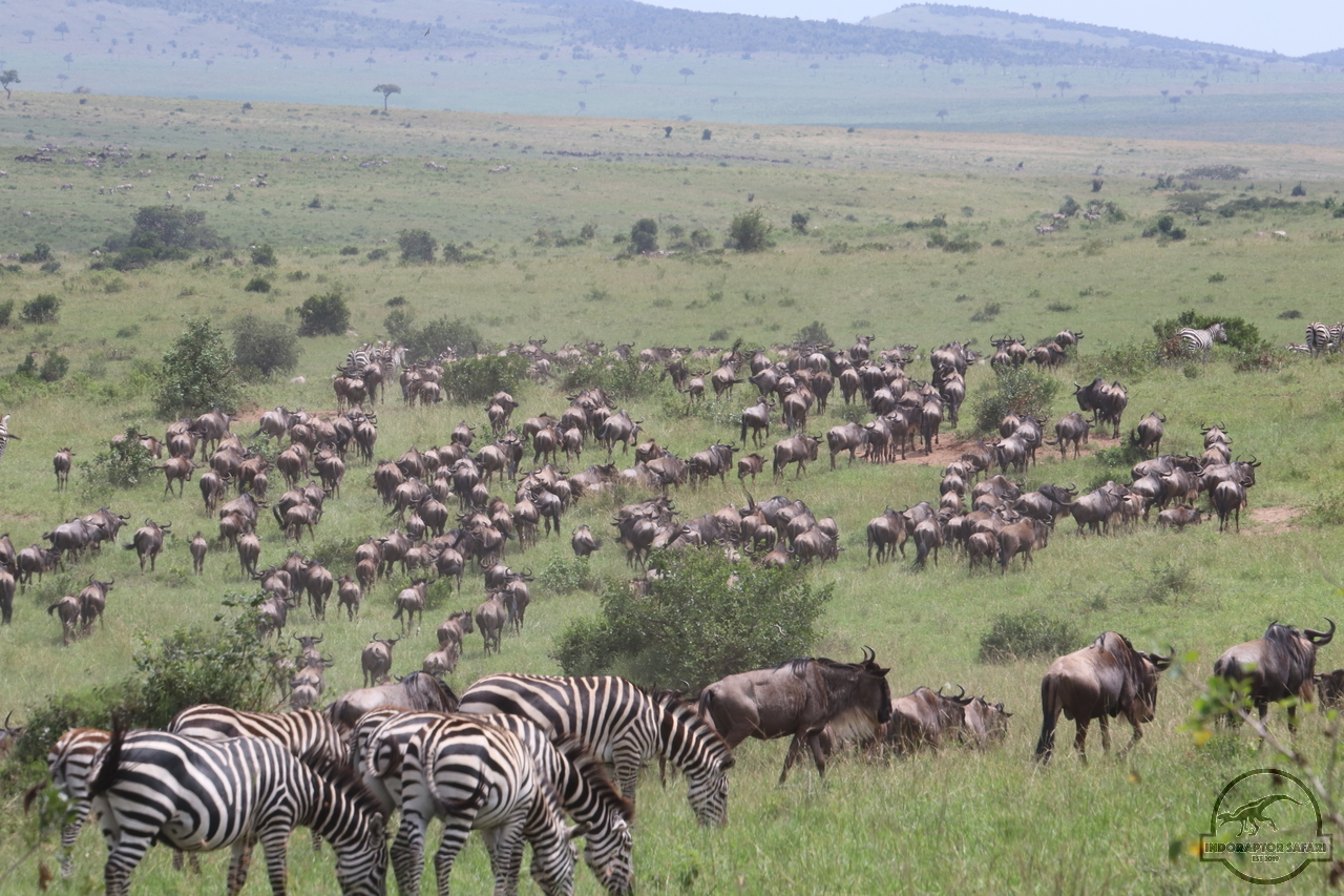 [1272] 2019_07_02_12_24_32_Africa_Canon_EOS_77D_IMG_3193_00569.jpg